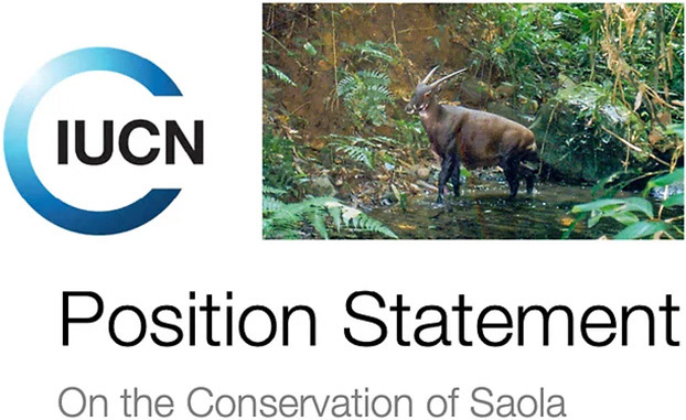 A saola in the wild. Text on image: IUCN Position Statement On the Conservation of Saola.