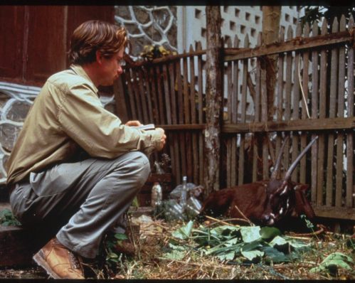 Bill with ‘Martha’, a rescued Saola, in 1996