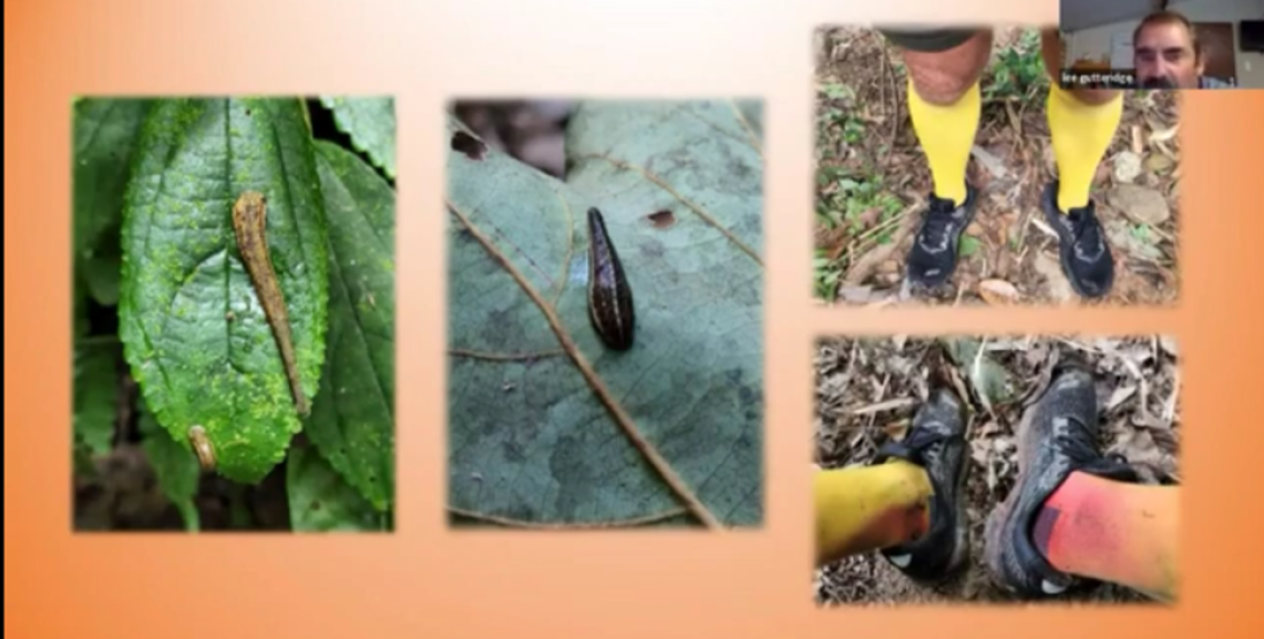 Lee’s yellow socks turned red after encountering Lao leeches    © Lee Gutteridge