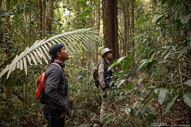 The Annamite Mountains Research and Conservation Team looking for the leaf monkey in the forests of the Annamite Mountains